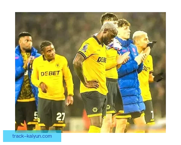 埃迪·豪在英超联赛中持续提升球队战斗力，表现稳健。